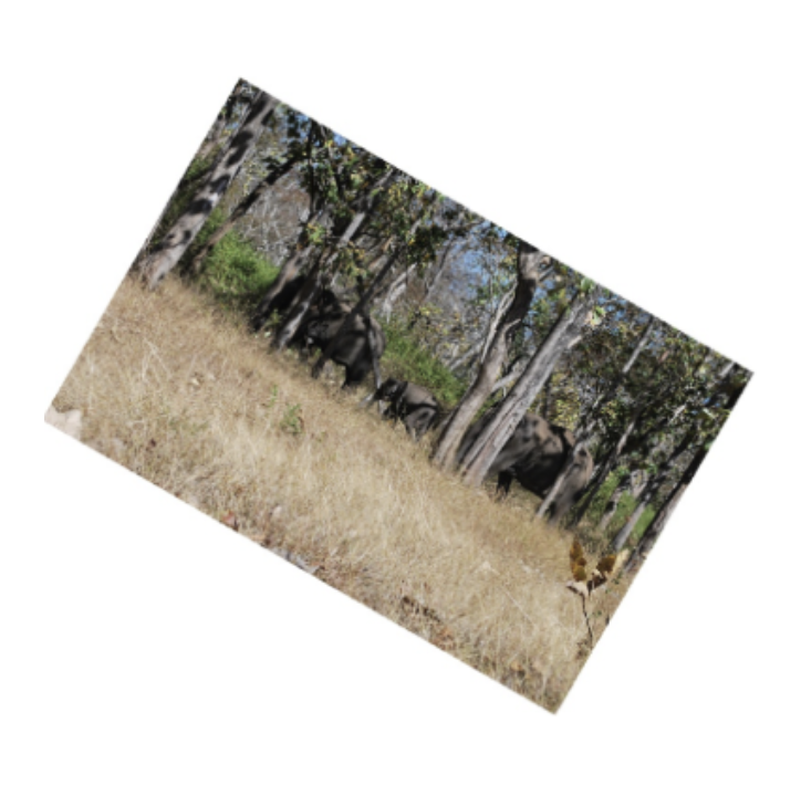 Rotation task case example